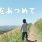 【動画/音楽】風をあつめて